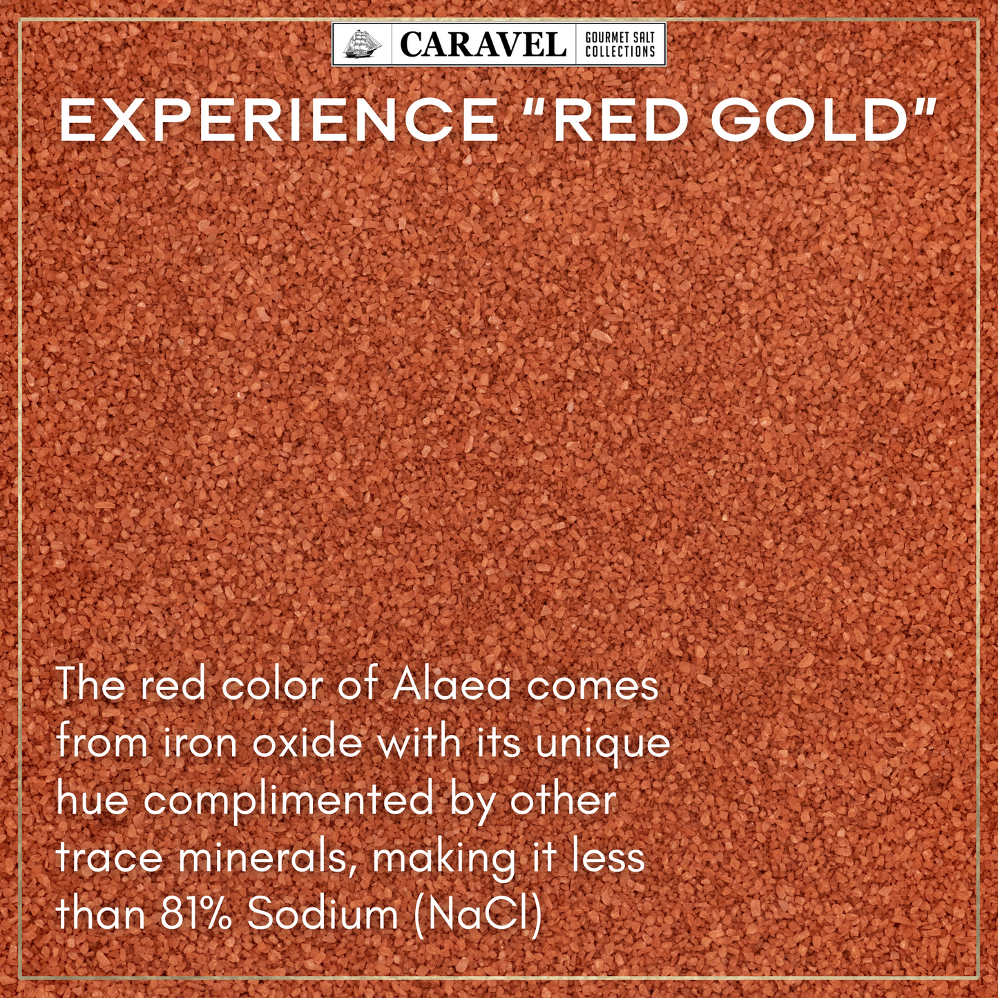 Hawaiian Style Collection