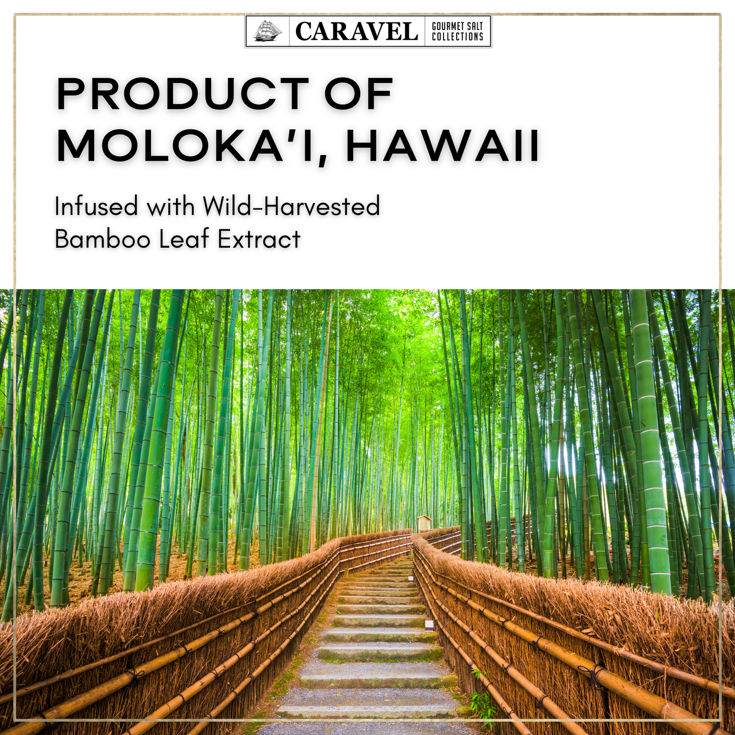 Hawaiian Style Collection